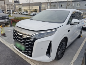 比亚迪 夏 2025款 DM-i 1.5T 180km 超越型