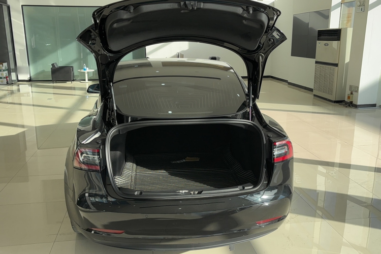特斯拉 Model 3 2020款 长续航后轮驱动版局部细节23