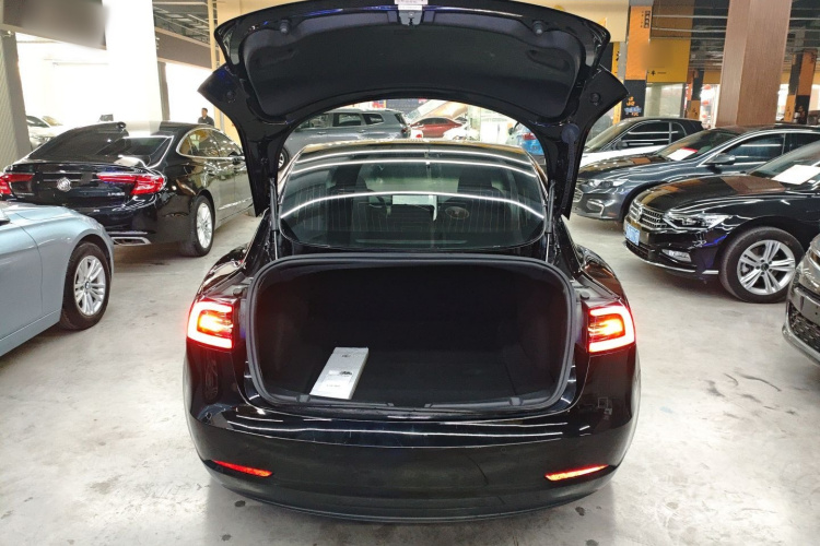 特斯拉 Model 3(进口) 2019款 长续航后驱版机舱底盘23