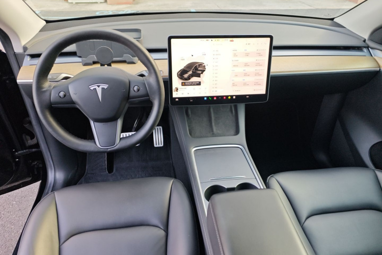 特斯拉 Model Y 2021款 Performance高性能全轮驱动版中控内饰12