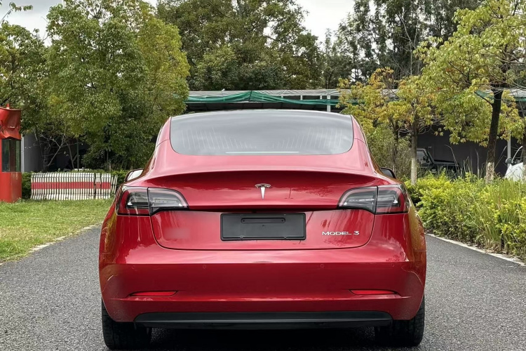 特斯拉 Model 3 2019款 标准续航后驱升级版车身外观6010