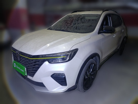 荣威RX5新能源 2020款 ePLUS 国潮荣麟豪华版