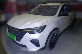 荣威RX5新能源 2020款 ePLUS 国潮荣麟豪华版