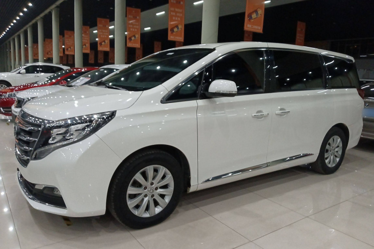 广汽传祺 传祺M8 2018款 320T 尊享版车身外观6003