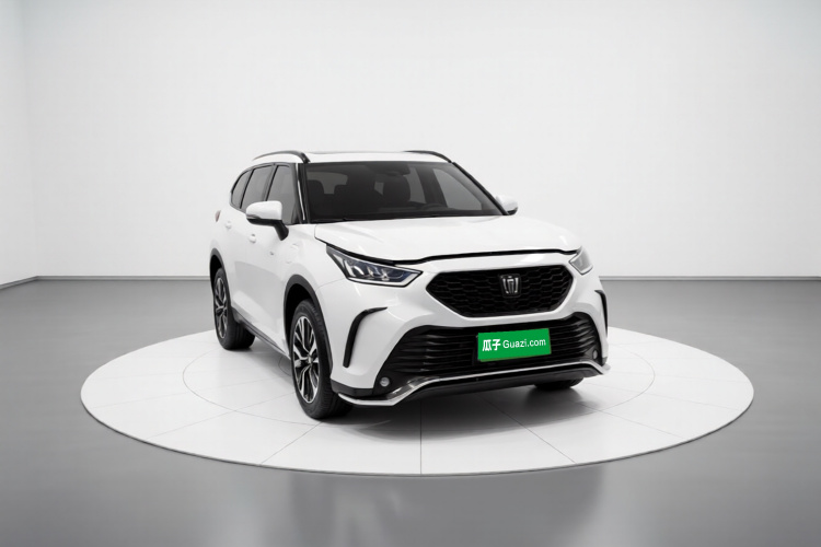 丰田 皇冠陆放 2024款 2.5L HEV四驱豪华版车身外观3