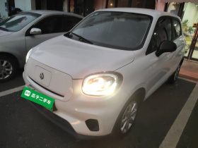 零跑汽车 零跑T03 2021款 400轻享版 磷酸铁锂