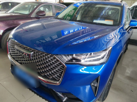 哈弗H6 2021款 第三代 1.5T 自动两驱Pro