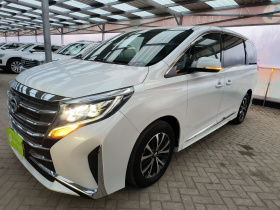 广汽传祺 传祺M8 2023款 领秀系列 390T 豪华版