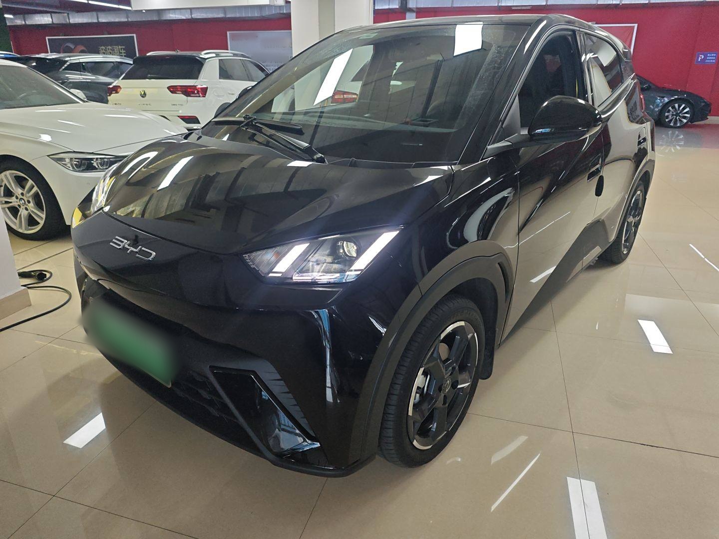 比亚迪 海鸥 2023款 自由版