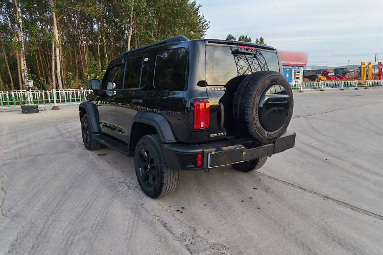 坦克300 2024款 2.0T 挑战者车身外观6003