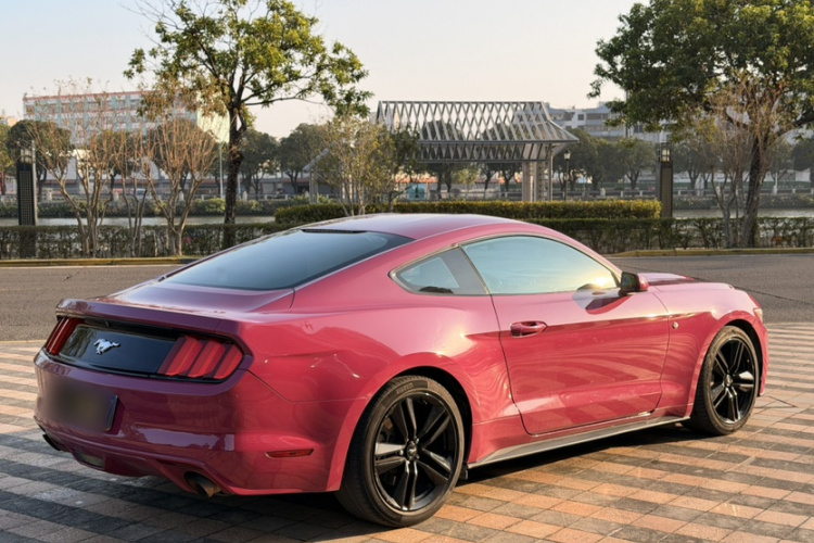 福特Mustang（平行进口） 车身外观6006