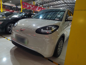 五菱汽车 五菱缤果 2023款 203km 轻享款