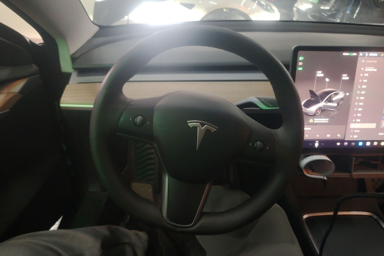 特斯拉 Model 3 2022款 Performance高性能全轮驱动版局部细节13