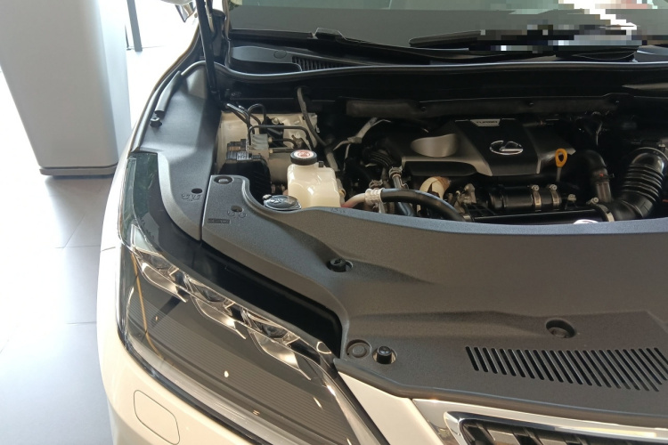 雷克萨斯RX 2020款 300 四驱典雅版 国VI机舱底盘25