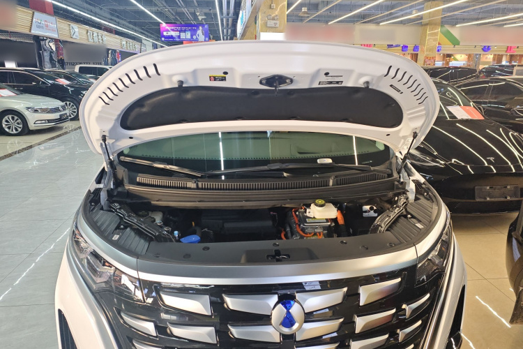 腾势D9 2022款 DM-i 970 四驱尊荣型局部细节24