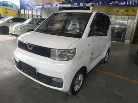 五菱汽车 宏光MINIEV 2020款 自在款 磷酸铁锂