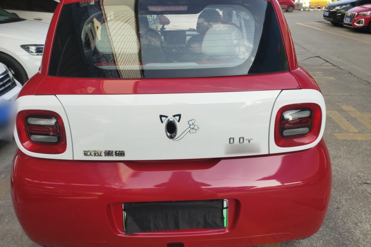 欧拉黑猫 2019款 351km 女神版车身外观6