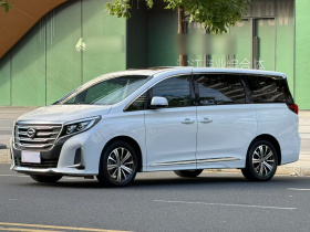 广汽传祺 传祺M8 2020款 领航款 390T 尊贵版