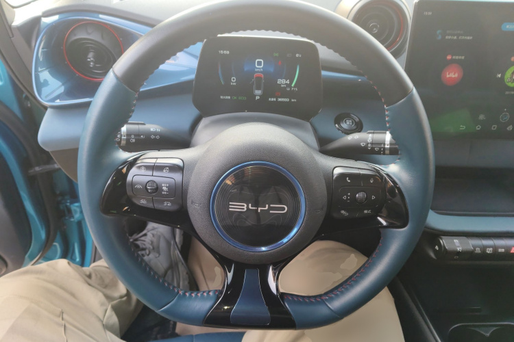 比亚迪 海豚 2021款 401km 骑士版中控内饰13