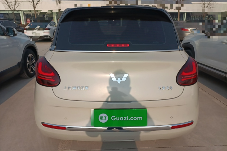 五菱汽车 五菱缤果 2023款 333km 灵犀互联+款车身外观6