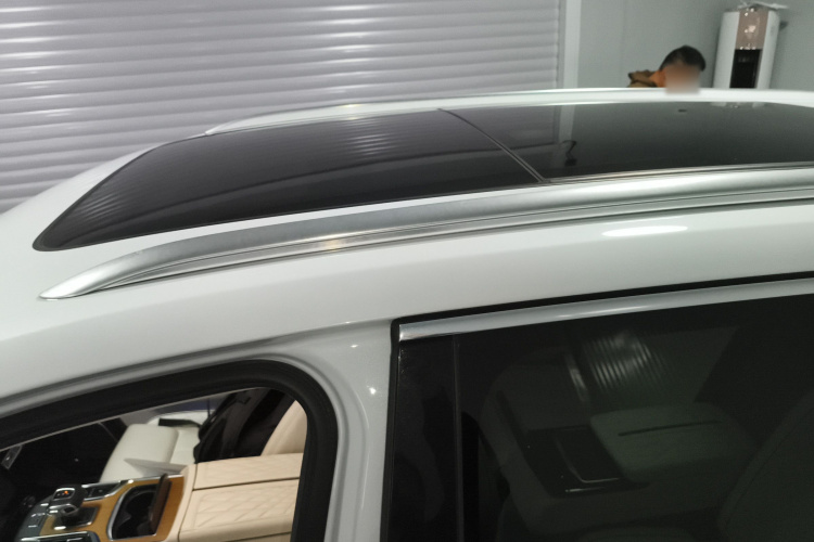 红旗E-HS9 2021款 510km 旗领版 四座局部细节57