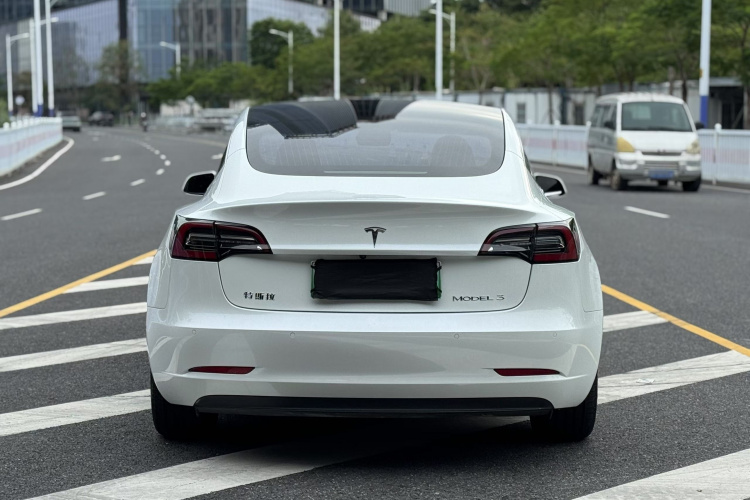 特斯拉 Model 3 2020款 改款 长续航后轮驱动版车身外观6007