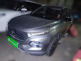 宝骏510 2019款 1.5L 自动尊享型 国V