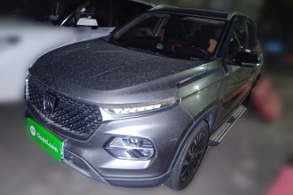 宝骏510 2019款 1.5L 自动尊享型 国V