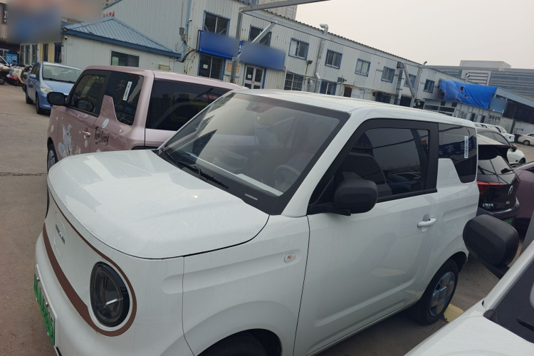 吉利银河 2024款 熊猫mini 200km 耐力熊车身外观4