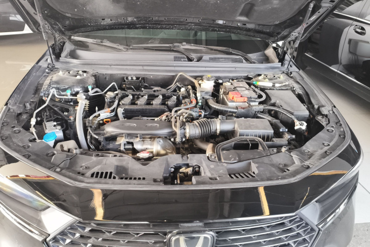 本田 雅阁 2024款 260TURBO 豪华版局部细节24