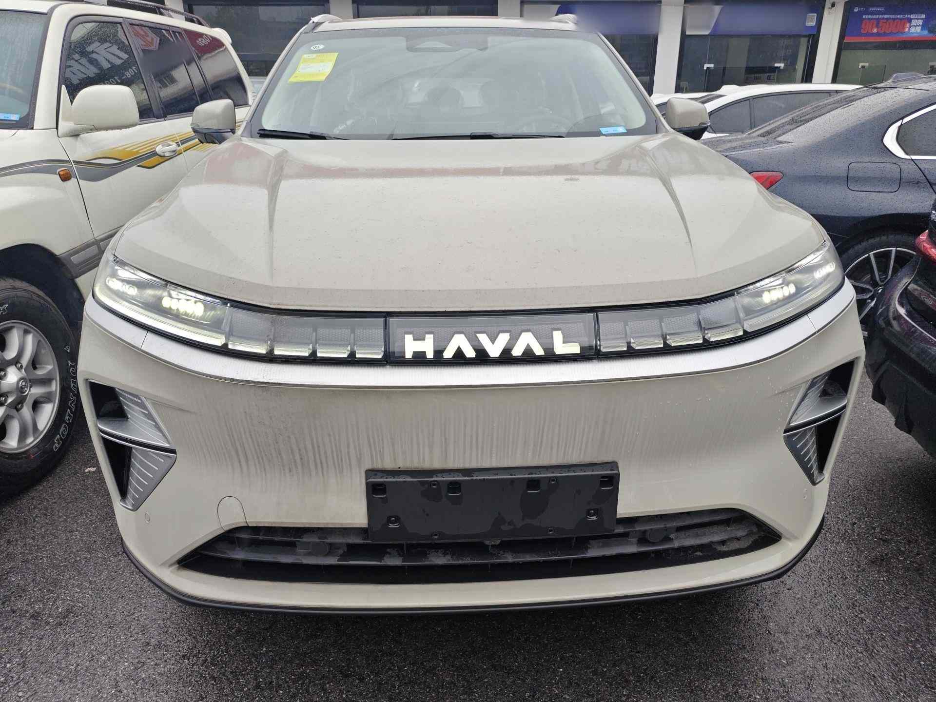 哈弗枭龙MAX 2025款 Hi4 110 Pro(1)