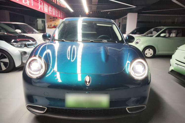 欧拉好猫 2022款 400km标准续航 豪华型 磷酸铁锂车身外观2