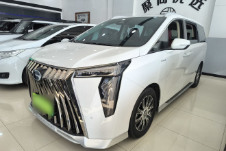 广汽传祺 传祺E9 2024款 E9 冠军版