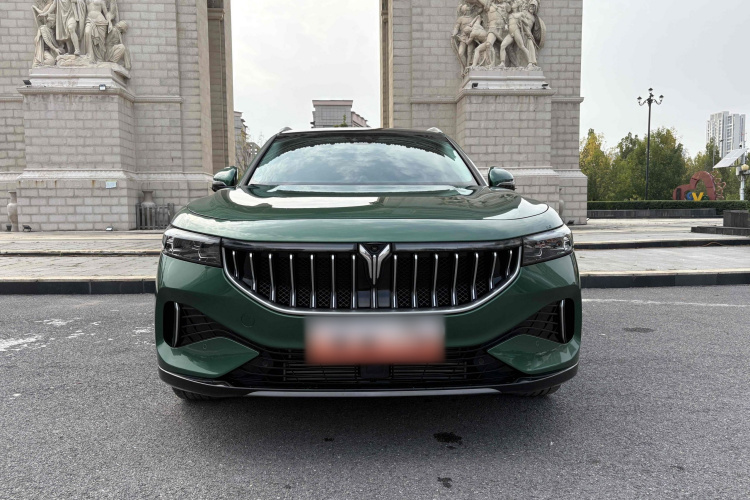 岚图汽车 岚图FREE 2021款 四驱标准增程专属豪华套装车身外观6002