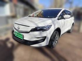 睿蓝汽车 枫叶80V 2021款 优行版 三元锂