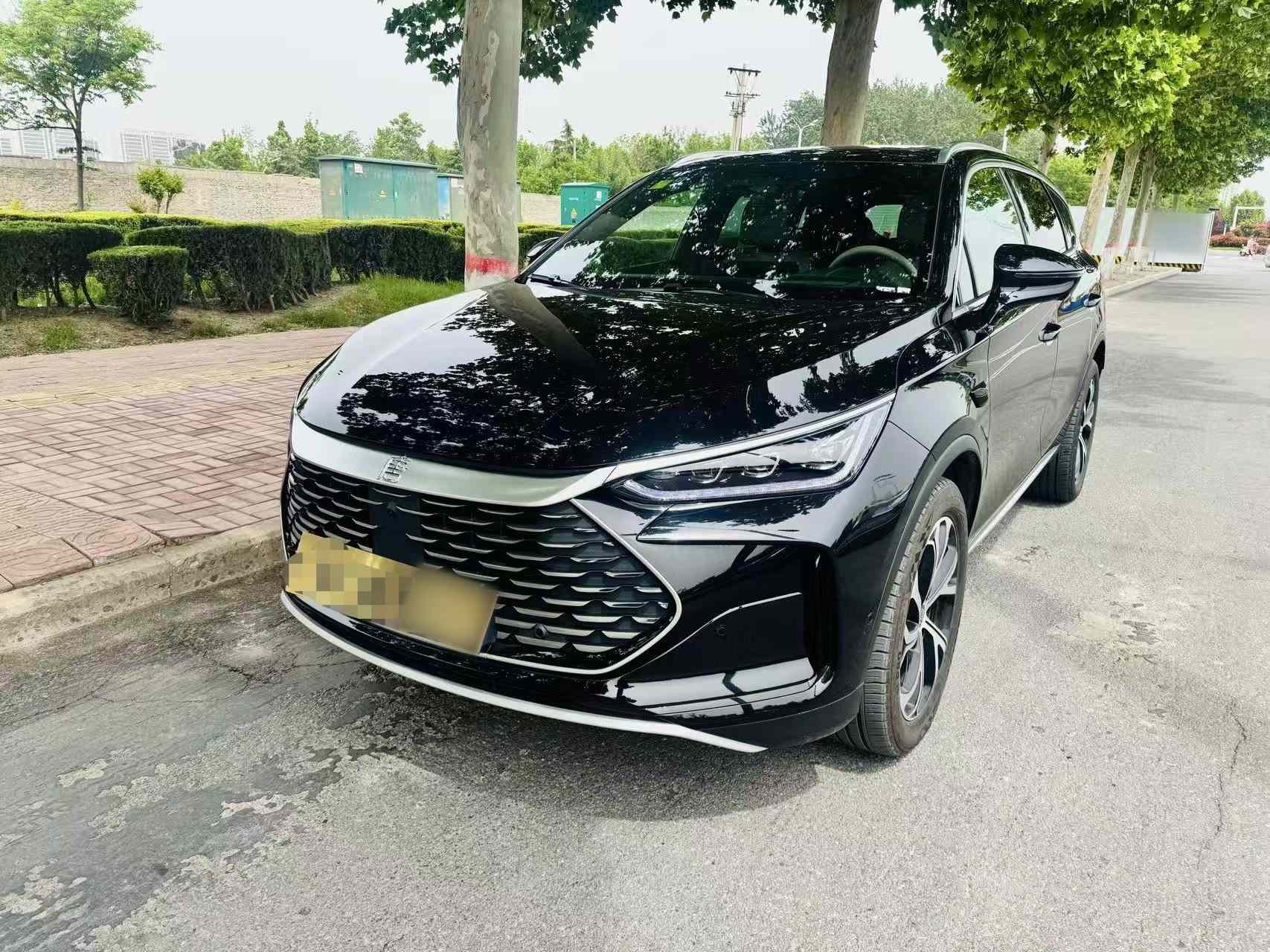 比亚迪 唐新能源 2025款 智驾版 DM-i 115KM 旗舰型(2)