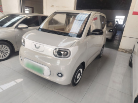 五菱汽车 宏光MINIEV 2024款 第三代 215km 青春版