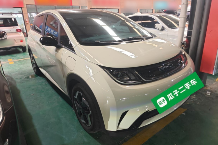 比亚迪 海豚 2021款 405km 时尚版车身外观6002