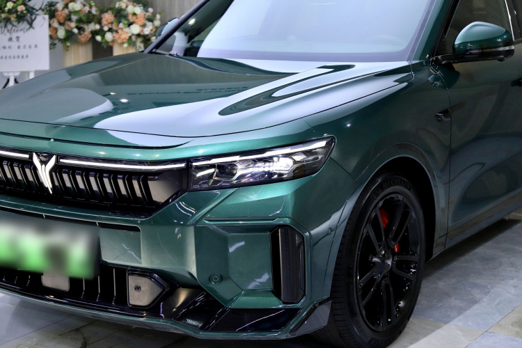 岚图汽车 岚图FREE 2025款 318 318km 后驱环游版局部细节36