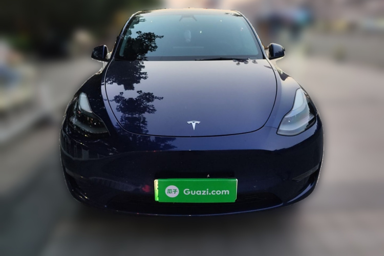 特斯拉 Model Y 2021款 长续航全轮驱动版车身外观6001