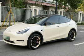 特斯拉 Model Y 2022款 改款 长续航全轮驱动版