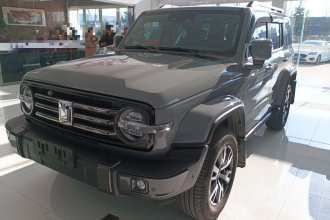 坦克300 2021款 城市版 2.0T 很有型