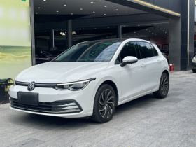 大众 高尔夫 2023款 280TSI DSG Pro