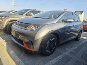 比亚迪 海豚 2021款 405km 时尚版