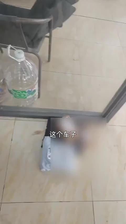 小米汽车 小米SU7 2024款 后驱长续航智驾版讲解2