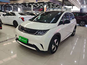 比亚迪 海豚 2023款 420km 时尚版