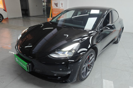 特斯拉 Model 3 2021款 改款二 Performance高性能全轮驱动版
