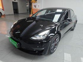 特斯拉 Model 3 2021款 改款二 Performance高性能全轮驱动版