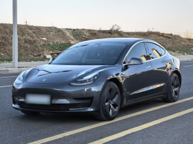 特斯拉 Model 3 2020款 标准续航后驱升级版