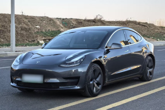 特斯拉 Model 3 2020款 标准续航后驱升级版